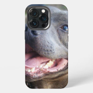 Happy Staffordshire Bull Terrier,   iPhone 13 Pro Case