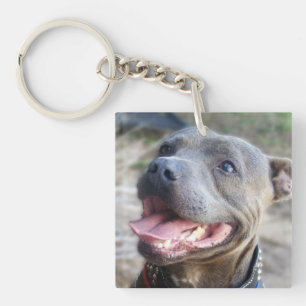 Happy Staffordshire Bull Terrier, Key Ring
