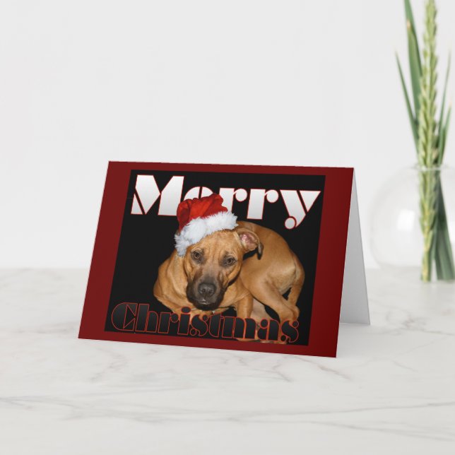 Happy Staffy Christmas Holiday Card (Front)