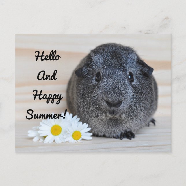 Happy Summer Guinea Pig Postcard (Front)