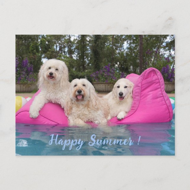 Happy Summer! Postcard (Front)