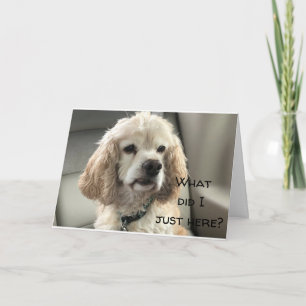 HAPPY SWEET **18** FROM COCKER SPANIEL CARD