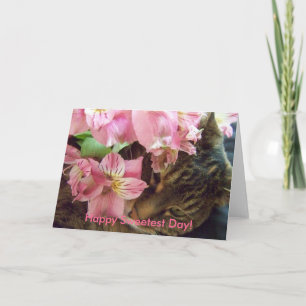 Happy Sweetest Day!  Greeting Card
