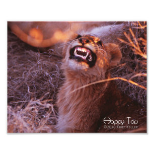Happy Tau Photo Print
