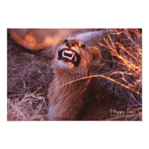 Happy Tau Photo Print