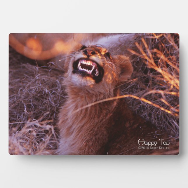 Happy Tau Plaque (Front)