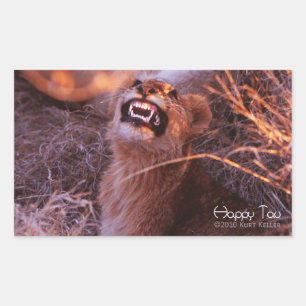 Happy Tau Rectangular Sticker