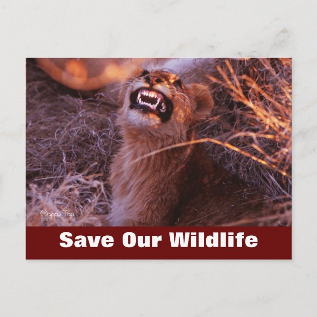 Happy Tau Save Our Wildlife Postcard (Front)
