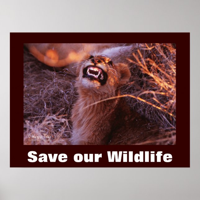 Happy Tau Save Our Wildlife Poster (Front)
