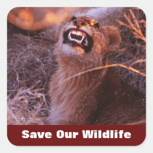 Happy Tau Save Our Wildlife Square Sticker