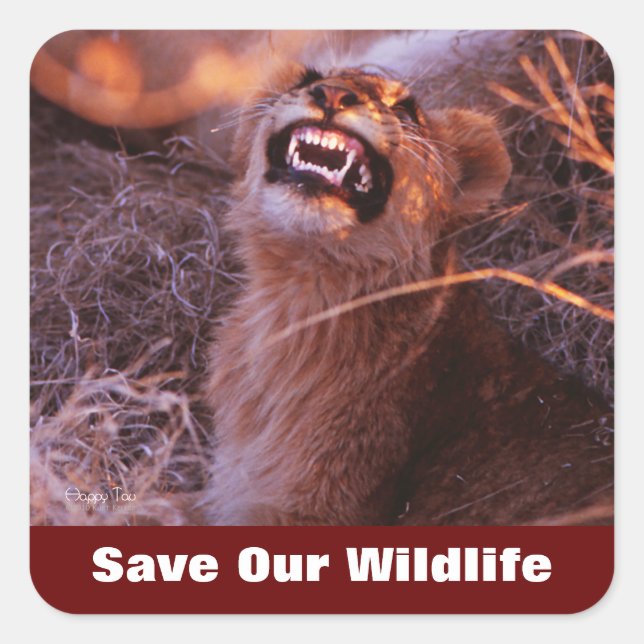 Happy Tau Save Our Wildlife Square Sticker (Front)