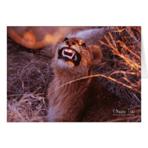 Happy Tau, Smiling Lion Cub