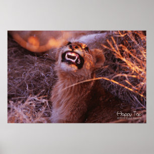 Happy Tau, Smiling Lion Cub Poster
