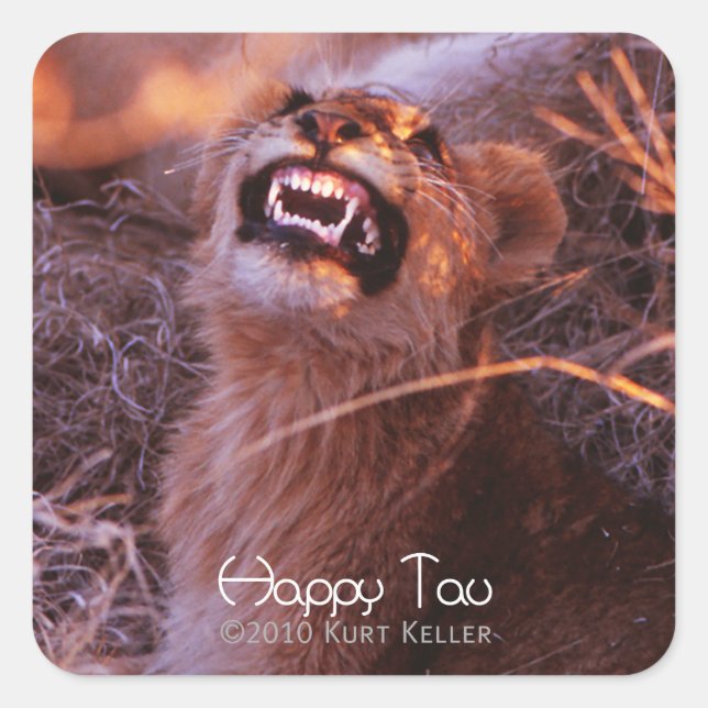 Happy Tau Square Sticker (Front)