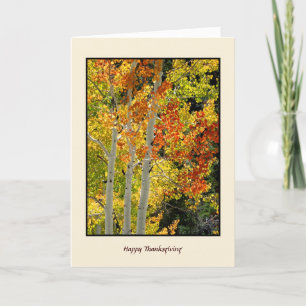 Happy Thanksgiving Autumn Aspens, Fall Colours Car Holiday Card