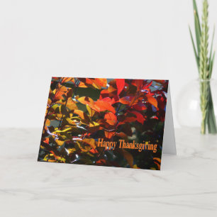 Happy Thanksgiving-Autumn Leaves Holiday Card