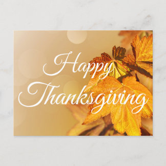Happy Thanksgiving Autumn Leaves Holiday Postcard