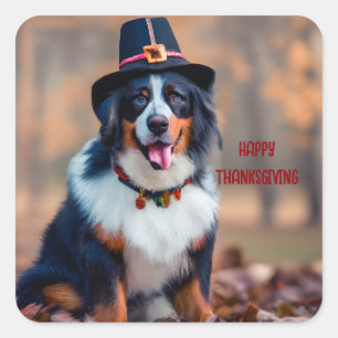 Happy Thanksgiving Bernese Mountain Dog Pilgrim Square Sticker