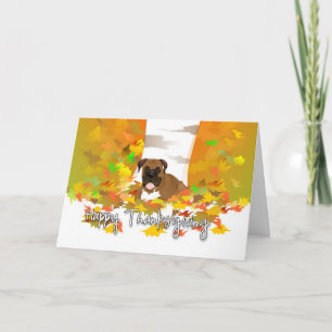 Happy Thanksgiving - Boxer Dog Holiday Card