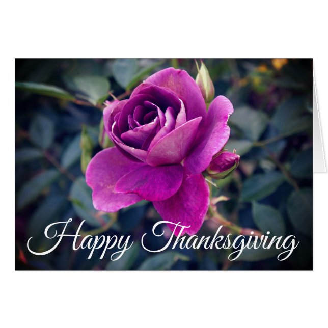 Happy Thanksgiving Burgundy Iceberg Rose #2 Card (Front Horizontal)