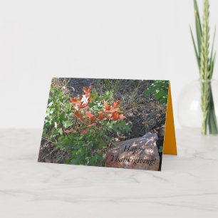 Happy Thanksgiving! by Janz Holiday Card