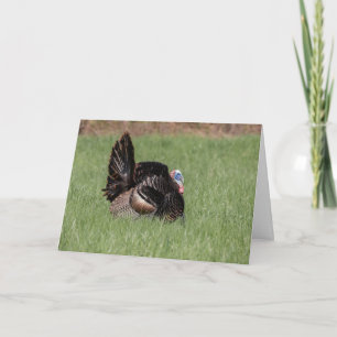 Happy Thanksgiving Card