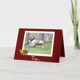 Happy Thanksgiving Card w/Basset & Pumpkin Pie