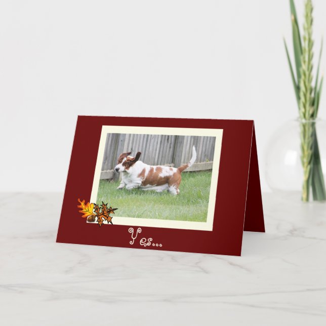 Happy Thanksgiving Card w/Basset & Pumpkin Pie (Front)