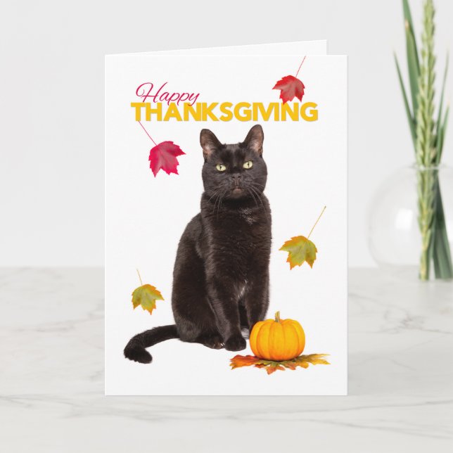 Happy Thanksgiving Cute Black Cat With Fall Leaves Holiday Card (Front)