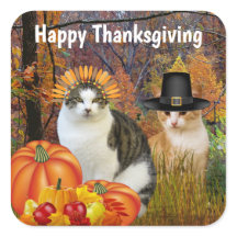 Happy Thanksgiving Cute Cats Pumpkin