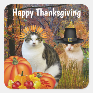 Happy Thanksgiving Cute Cats Pumpkin Square Sticker
