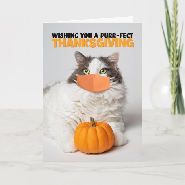 Happy Thanksgiving Cute Kitty Cat in Covid Mask Holiday Card (Front)