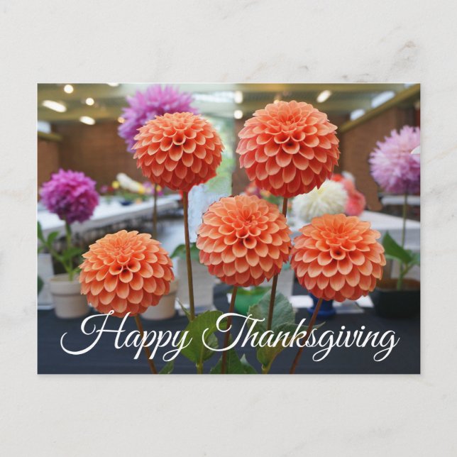 Happy Thanksgiving Dahlia Rose Toscano #1 Postcard (Front)