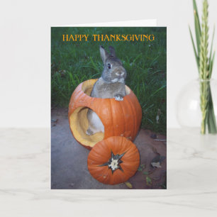 HAPPY THANKSGIVING DAY card