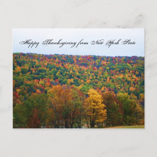 HAPPY THANKSGIVING FROM NEW YORK STATE postcard (Front)