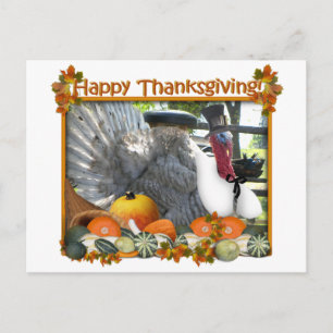 Happy Thanksgiving from Tom the Pilgrim Turkey Holiday Postcard