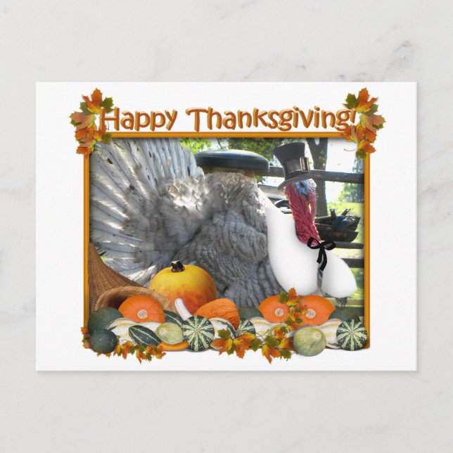 Happy Thanksgiving from Tom the Pilgrim Turkey Holiday Postcard (Front)
