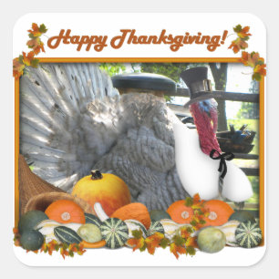 Happy Thanksgiving from Tom the Pilgrim Turkey Square Sticker
