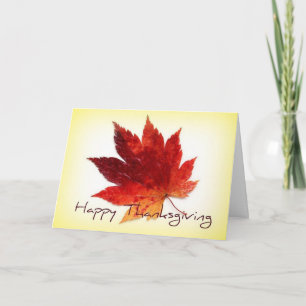 Happy Thanksgiving Greeting Card