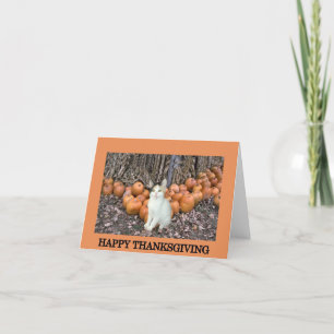 Happy Thanksgiving Holiday Card