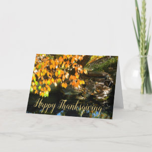 Happy Thanksgiving Holiday Card