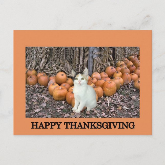 Happy Thanksgiving Holiday Postcard (Front)