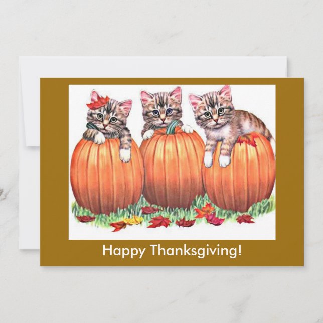 Happy Thanksgiving Kittens on Pumpkins, ZSSG Holiday Card (Front)