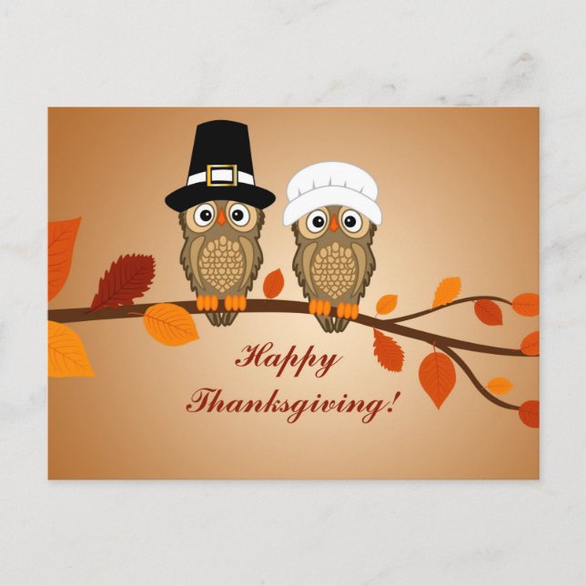 Happy Thanksgiving Pilgrim Owls Holiday Postcard (Front)