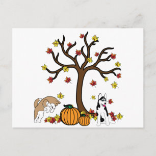 Happy Thanksgiving Post Card