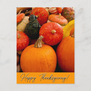 Happy Thanksgiving Pumpkins and Squash Postcard