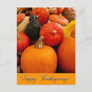 Happy Thanksgiving Pumpkins and Squash Postcard