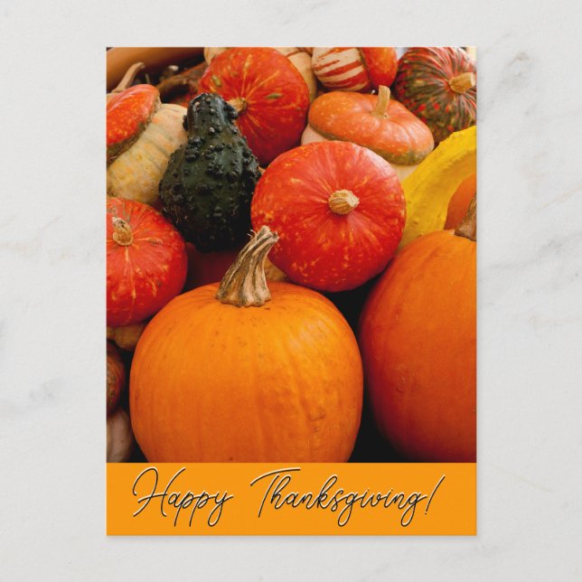 Happy Thanksgiving Pumpkins and Squash Postcard (Front)