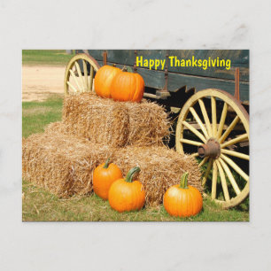 Happy Thanksgiving Pumpkins Postcard
