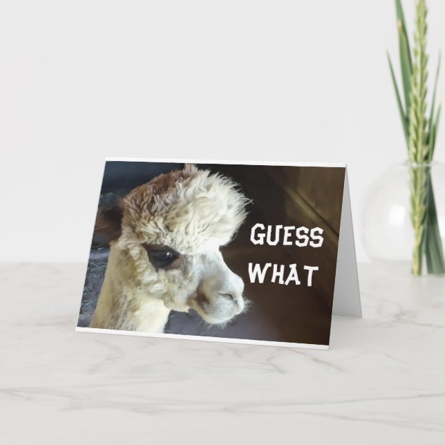 HAPPY *THANKSGIVING* SAY LLAMA CARD (Front)